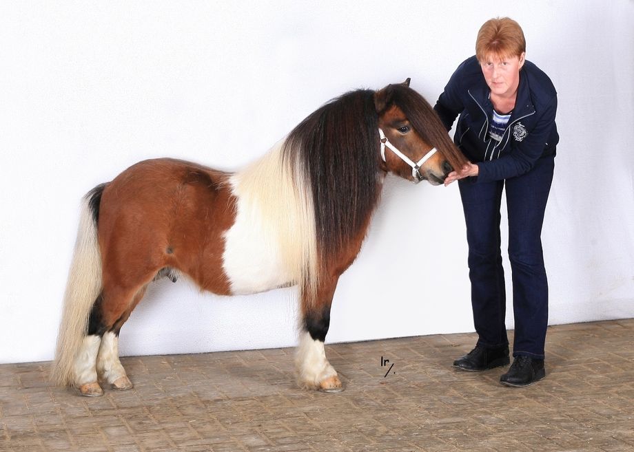 Fanity v. Stal Marhé met haar trotse fokker, januari 2018